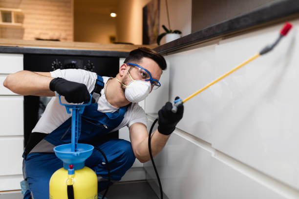 Best Flea Control Services  in Frankfort, IN