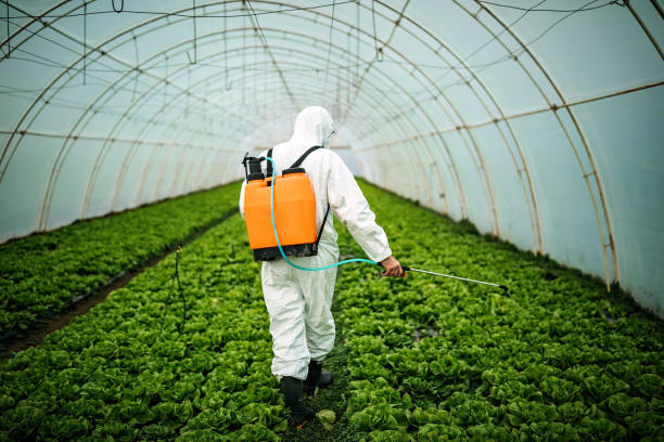 Best Mosquito Control Services  in Frankfort, IN