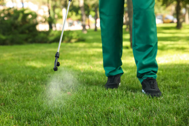 Best Termite Control Services  in Frankfort, IN