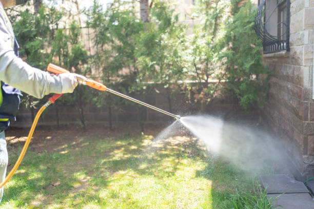 Best Termite Control Services  in Frankfort, IN
