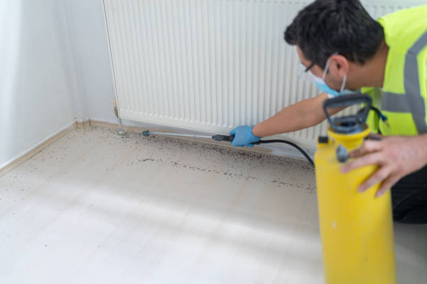 Pest Prevention Services in Frankfort, IN
