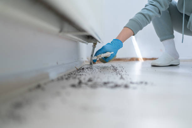 Reliable Frankfort, IN Pest Control Solutions